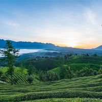 500萬噸/年！湖北儲(chǔ)量約1.12億噸建筑用花崗巖礦擬掛牌出讓