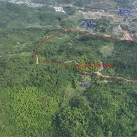 1.1億噸、500萬噸/年！浙江衢州12.3億元掛牌出讓灰?guī)r礦